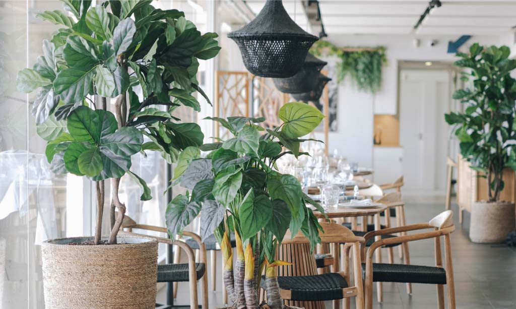 Mesas del Restaurante Ca la Nuri